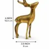 DEER 8