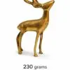 DEER 7