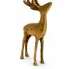 DEER 3
