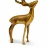 DEER 6