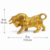 Brass Bull for Share Market 7