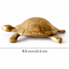 Tortoise 3