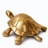 Tortoise 6