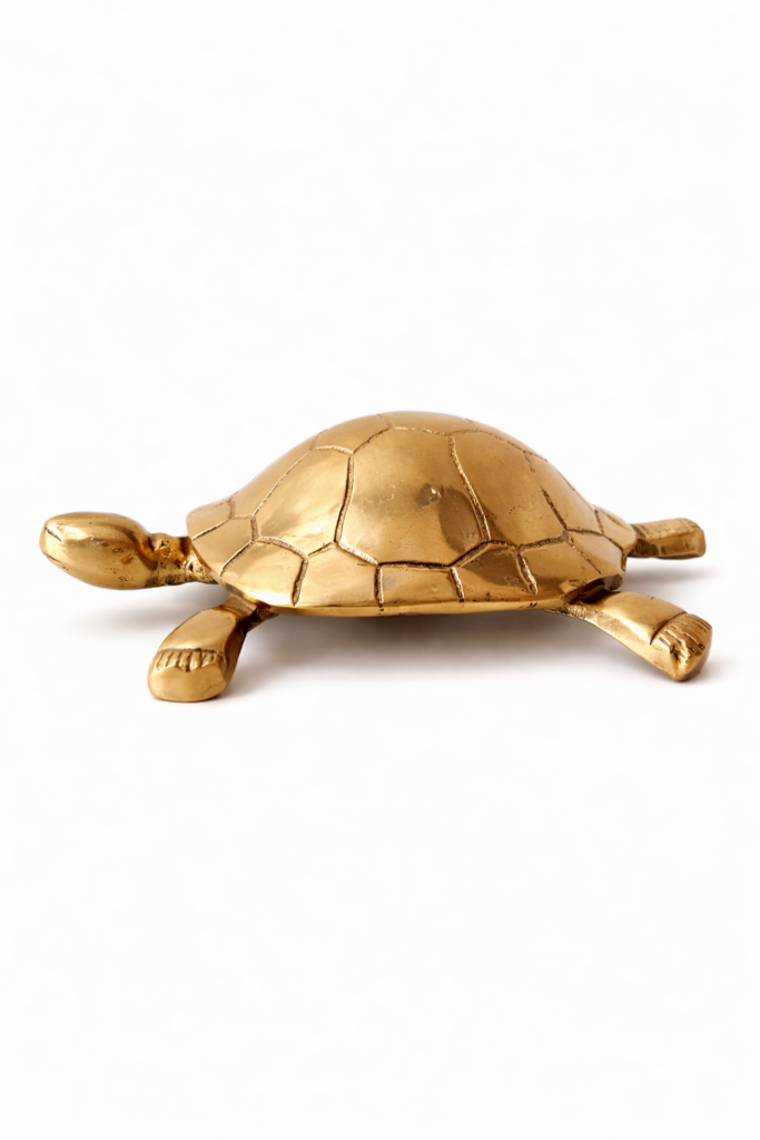 Tortoise