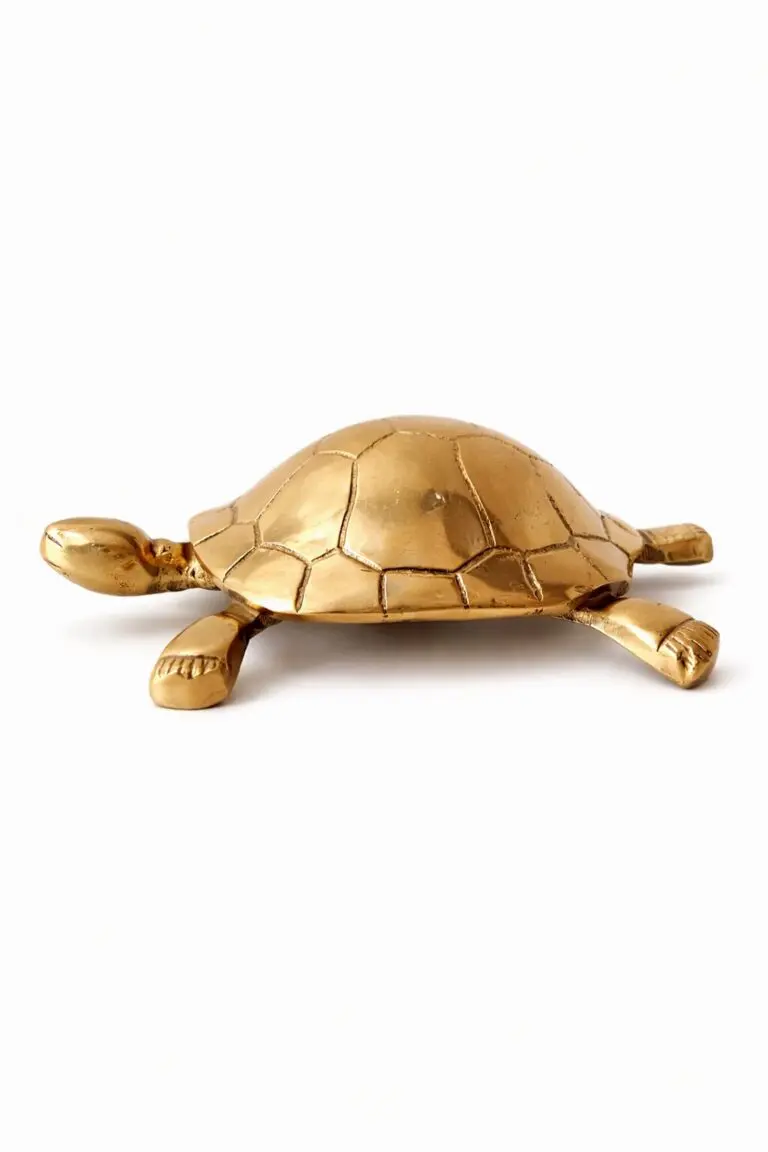 Tortoise