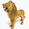 Lion For Power 3