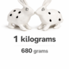 Pair of rabbitbits 3