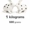 Pair of rabbitbits 3