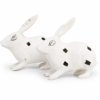 Pair of rabbitbits 1
