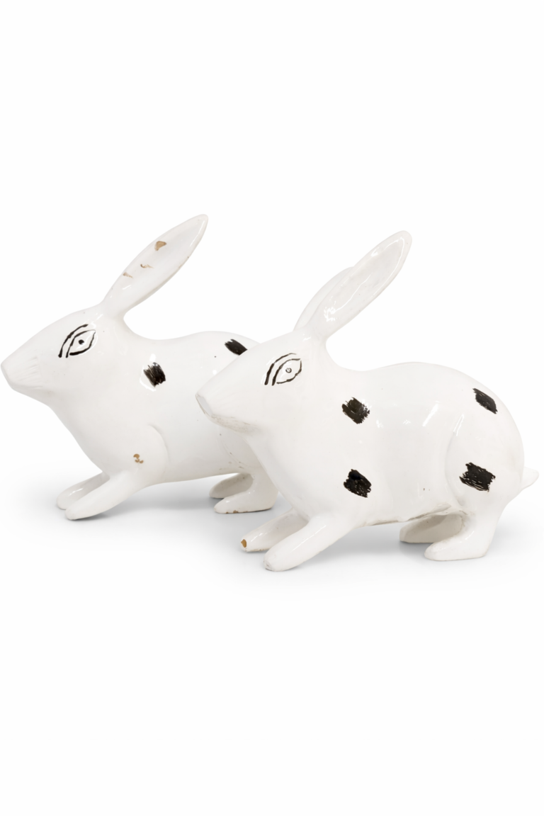 Pair of rabbitbits