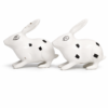 Pair of rabbitbits 7