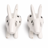 Pair of rabbitbits 8