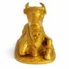 NaNDi (Bull) 1.7kg 2
