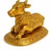 NaNDi (Bull) 1.7kg 4