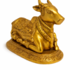 NaNDi (Bull) 1.7kg 5