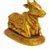 NaNDi (Bull) 1.7kg 5