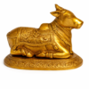NaNDi (Bull) 1.7kg 1
