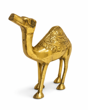 camel
