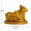 NaNDi (Bull) 1.7kg 8