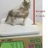 kamDheNu cow 3