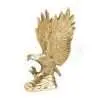 Eagle (The Garuda) 5