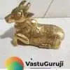 NanDi Bull 2
