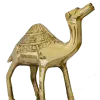 camel 1