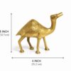camel 5
