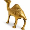 camel 6