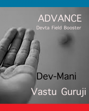 ADVANCE Devta Field Booster (South) Viviswan
