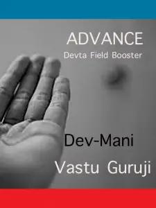 ADVANCE Devta Field Booster INDRA (S.W) 6 ADVANCE Devta Field Booster INDRA (S.W) - Image 6