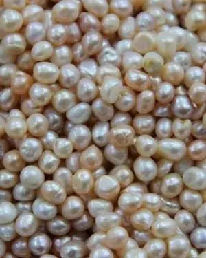 Gem stons
