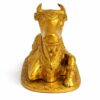 NaNDi (Bull) 1.7kg 2