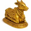 NaNDi (Bull) 1.7kg 5