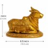 NaNDi (Bull) 1.7kg 8