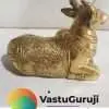 NanDi Bull 4