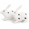 Pair of rabbitbits 1