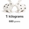 Pair of rabbitbits 3
