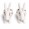 Pair of rabbitbits 8