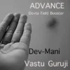 ADVANCE Devta Field Booster Rudra (N.W) 6