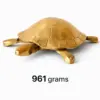 Tortoise 3