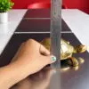 Tortoise 9