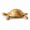 Tortoise 1