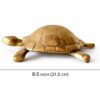 Tortoise 2