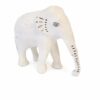 White Elephant 1