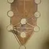 Tree of life 2