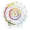 Online Course 18 July 23 3