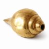 shankh 1