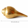 shankh 6