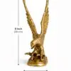 Eagle (The Garuda) Small 2